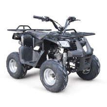 EPA 110CC ATV QUAD-BIKE